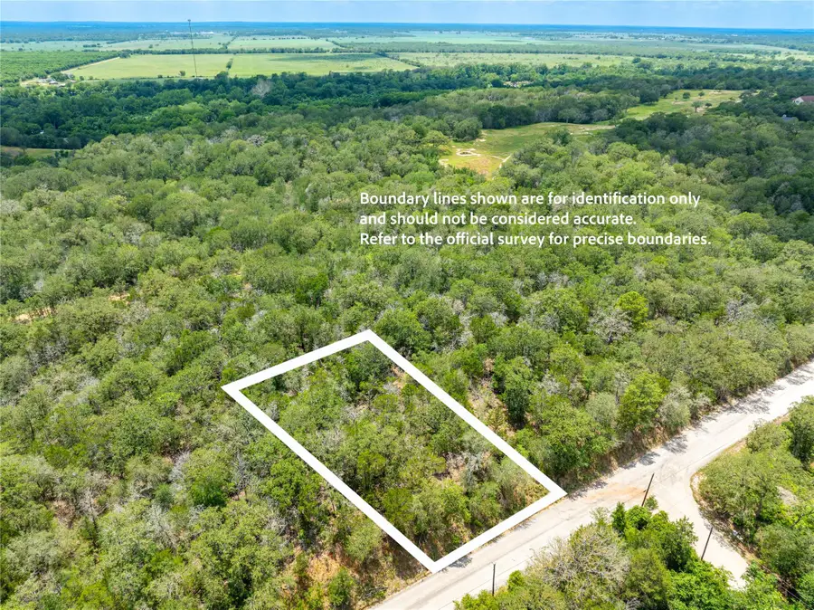 169 Kaaawa Ln, Bastrop, TX 78602 - #3
