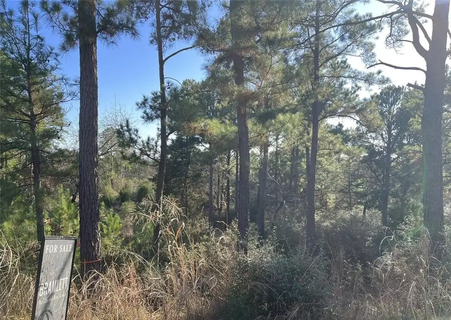 TBD Wahane, Bastrop, TX 78602 - Image #3