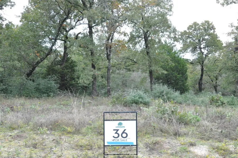 TBD Oakview Ln, Thrall, TX 76578 - #2