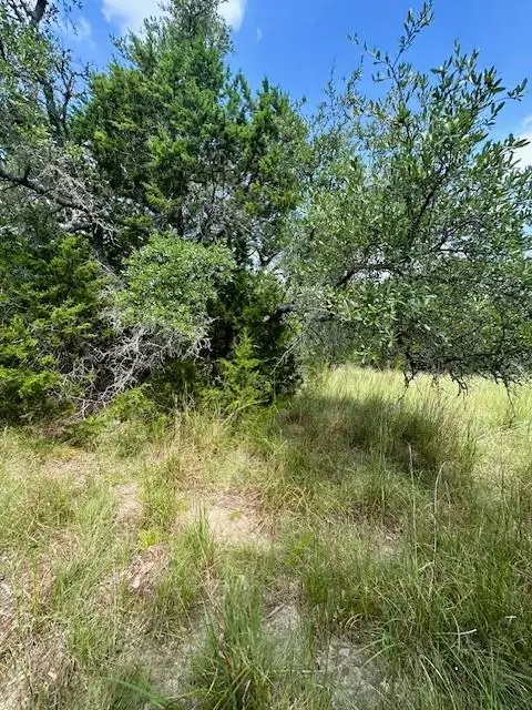 TBD LOT 3 Royal Eagle Dr, Fischer, TX 78623 - #2