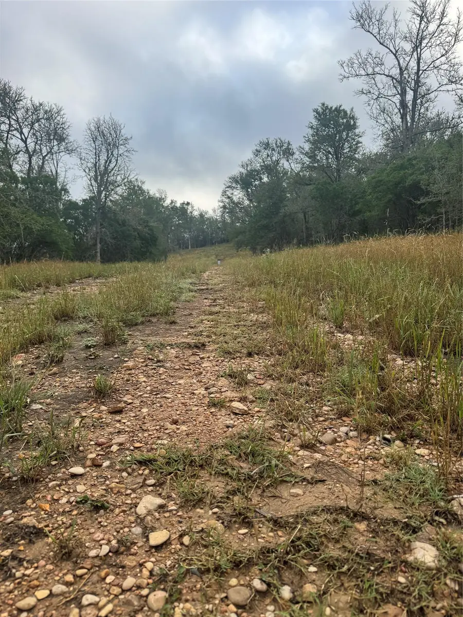 107 Hauula Ct, Bastrop, TX 78602 - #2