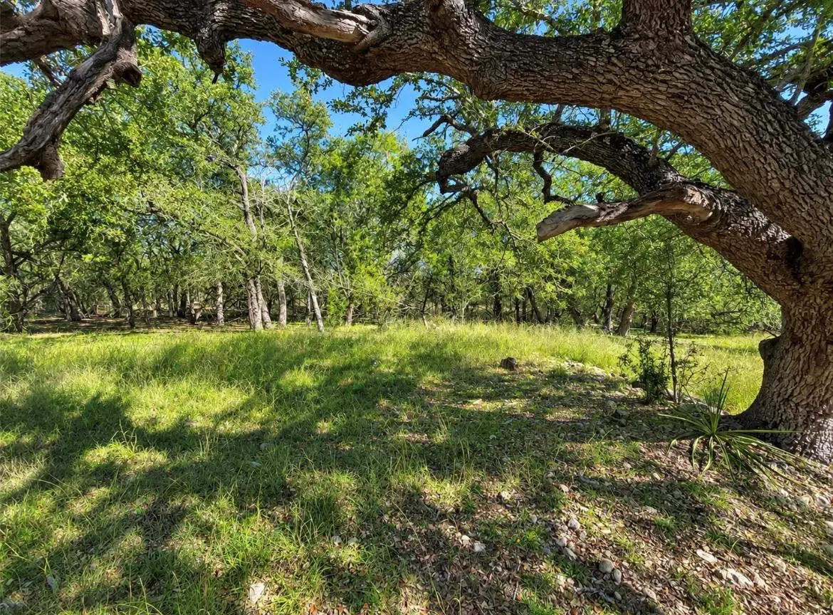 TBD Carney Ln, Wimberley, TX 78676 - #1