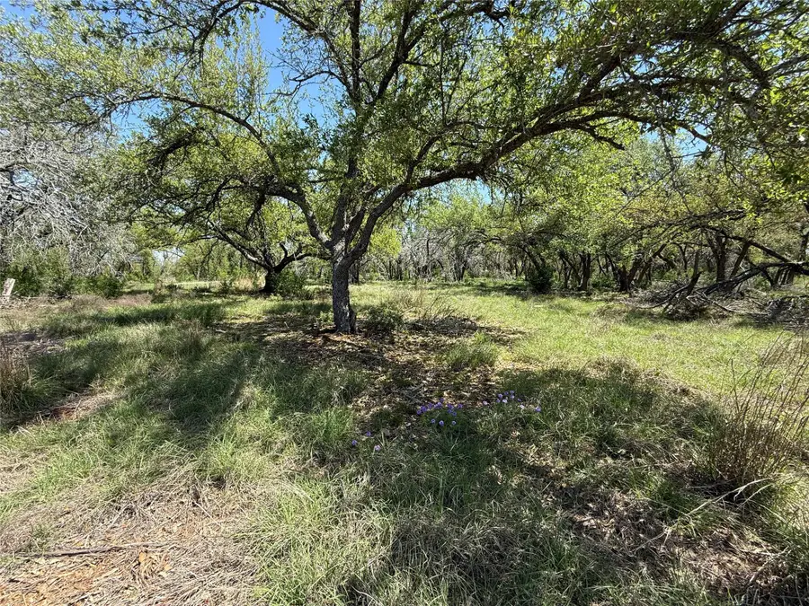 Lot 106 E Flying Owl Dr, Johnson City, TX 78636 - Image #2