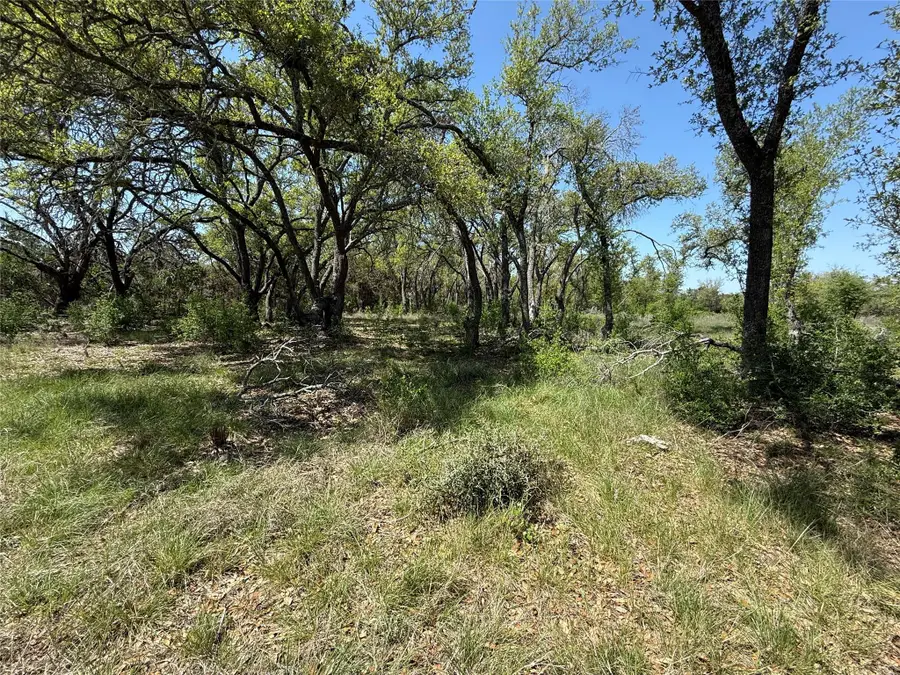 Lot 106 E Flying Owl Dr, Johnson City, TX 78636 - Image #3