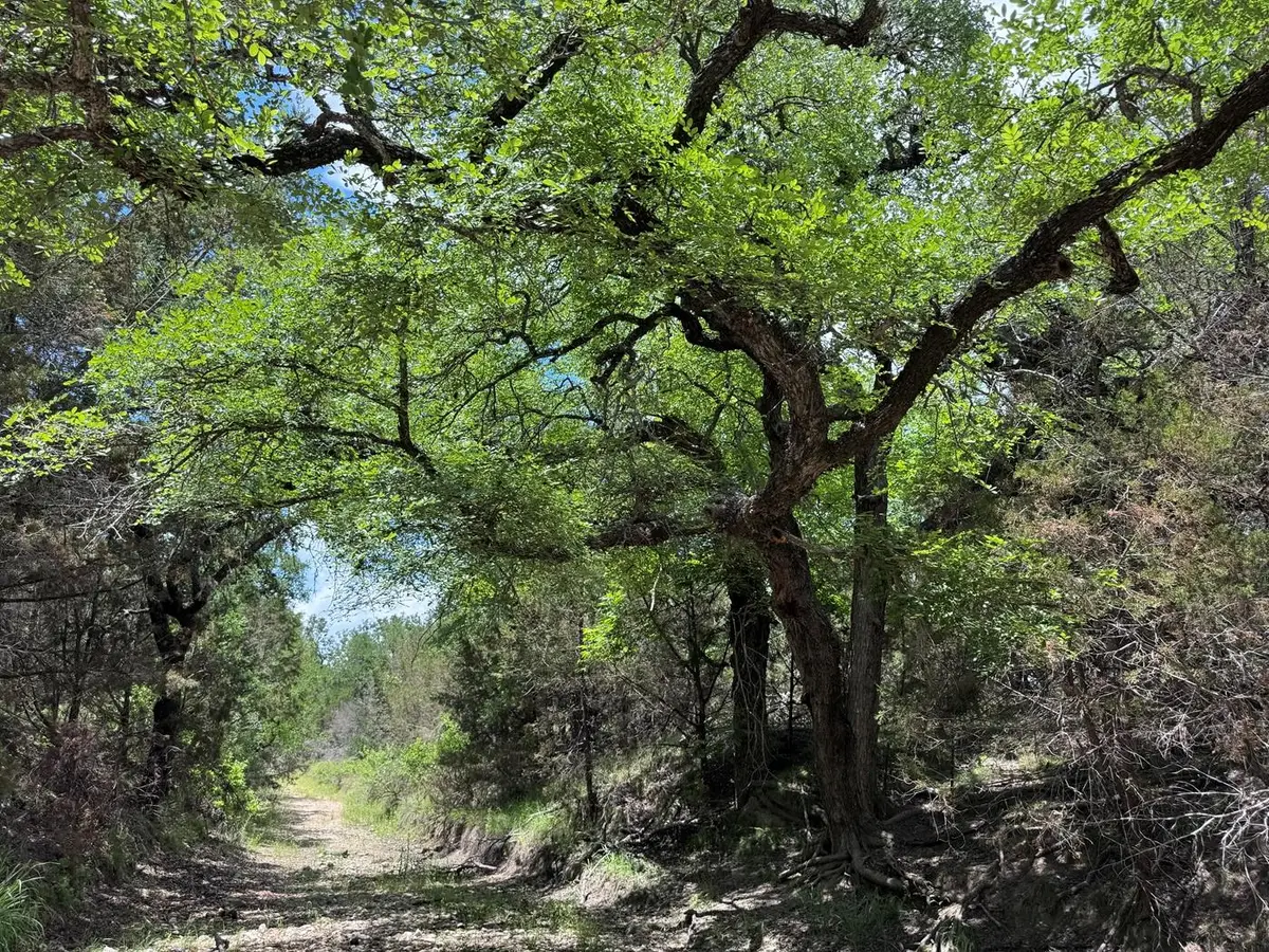 312 Oak Stump Dr, Goldthwaite, TX 76844 - #1