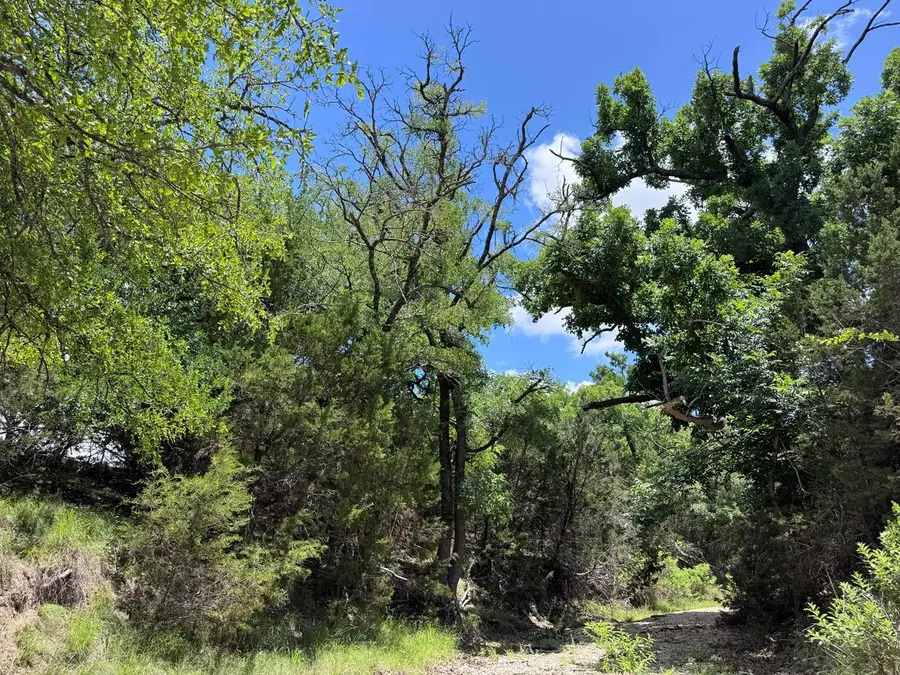312 Oak Stump Dr, Goldthwaite, TX 76844 - #3