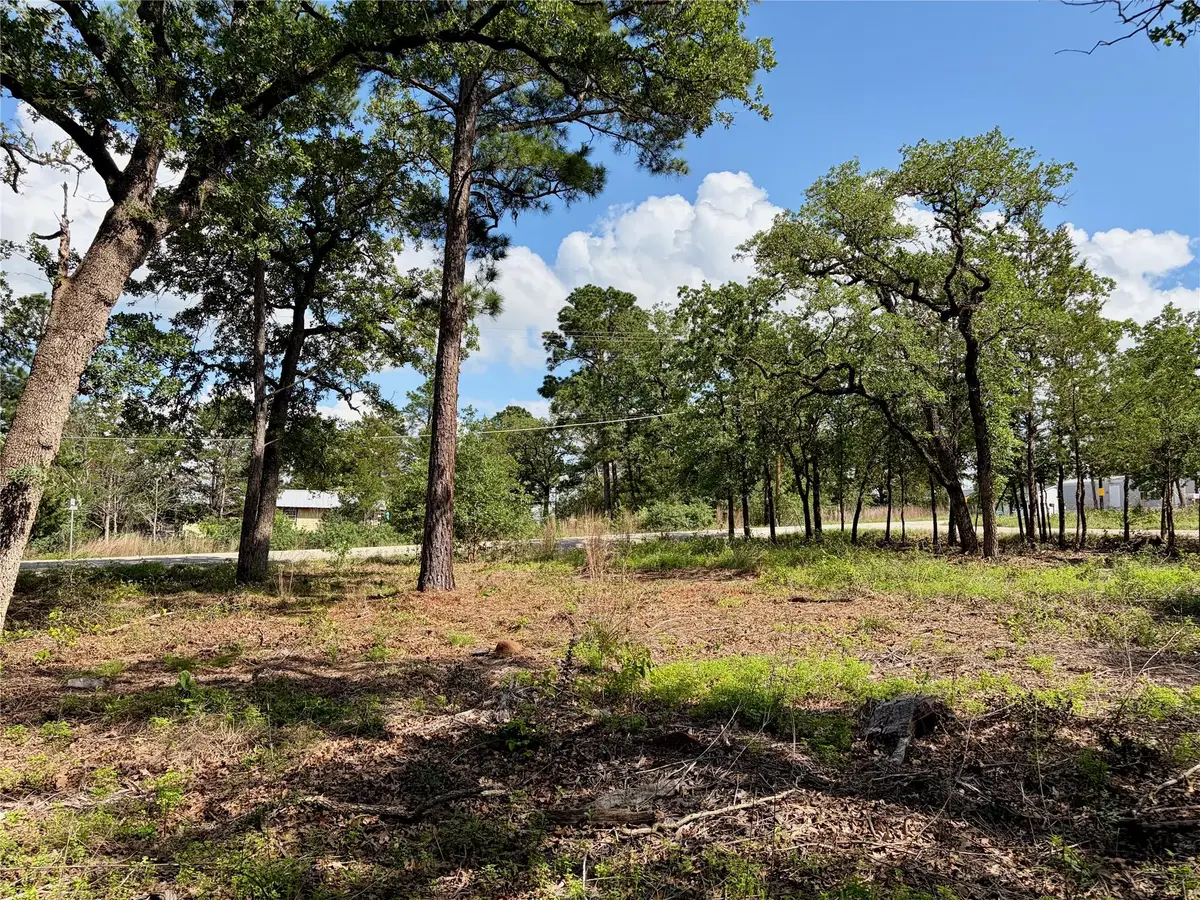 Lots-95/96 Shawnee Dr, Smithville, TX 78957 - #1