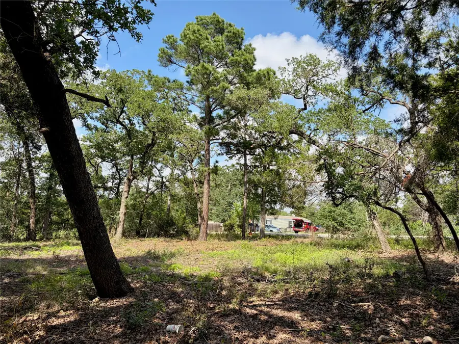 Lots-95/96 Shawnee Dr, Smithville, TX 78957 - #2