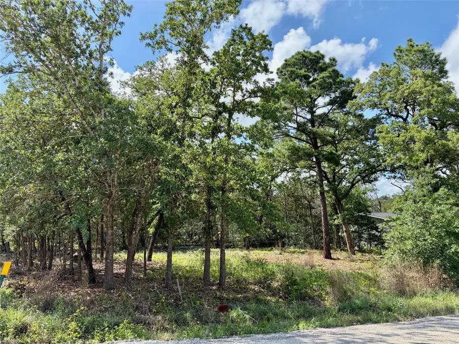 Lots-95/96 Shawnee Dr, Smithville, TX 78957 - #3