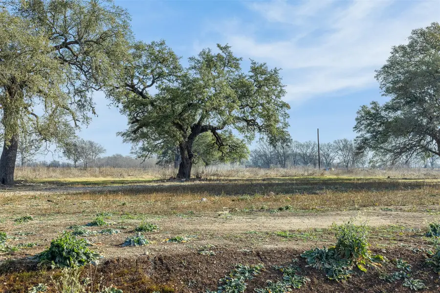 598 Nw River Rd, Martindale, TX 78655 - #2