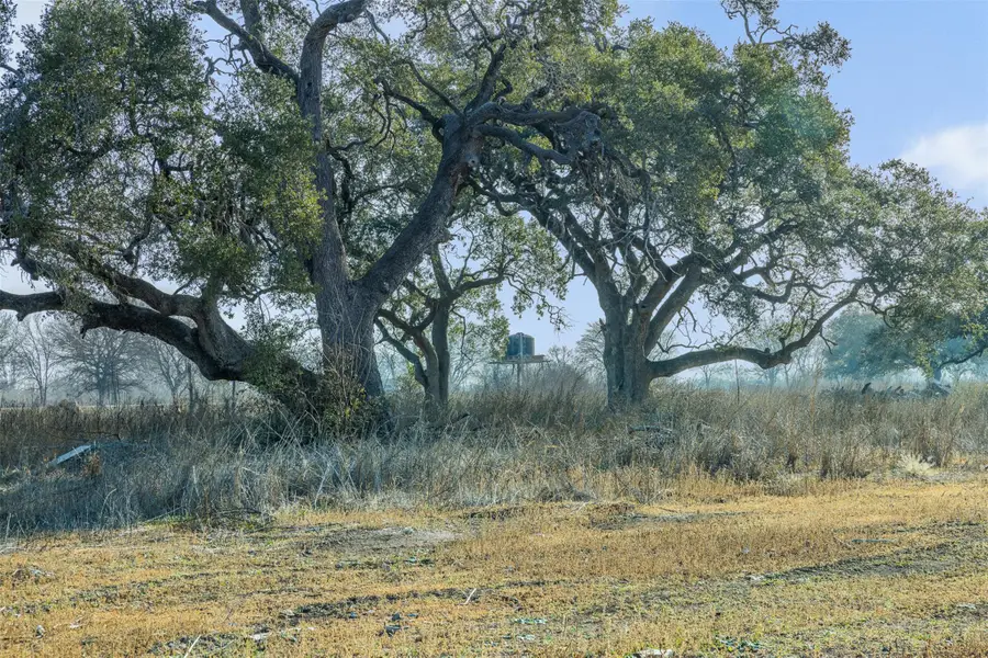 598 Nw River Rd, Martindale, TX 78655 - #3