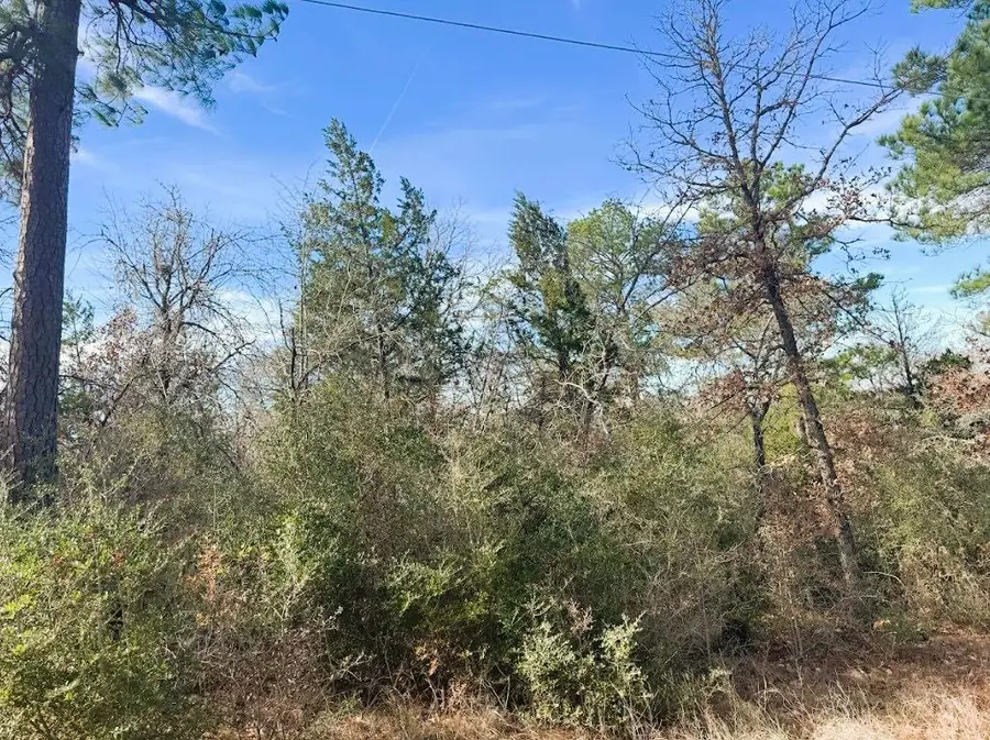 106 Olomana Ct, Bastrop, TX 78602 - Image #3