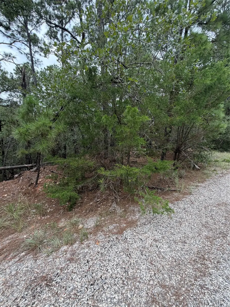 Lot 216 Hekili Dr, Bastrop, TX 78602 - #2