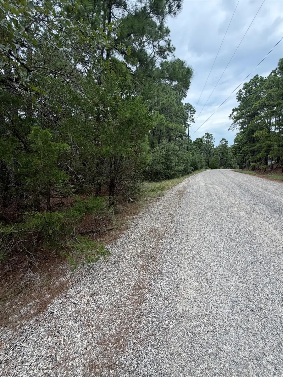Lot 216 Hekili Dr, Bastrop, TX 78602 - #3