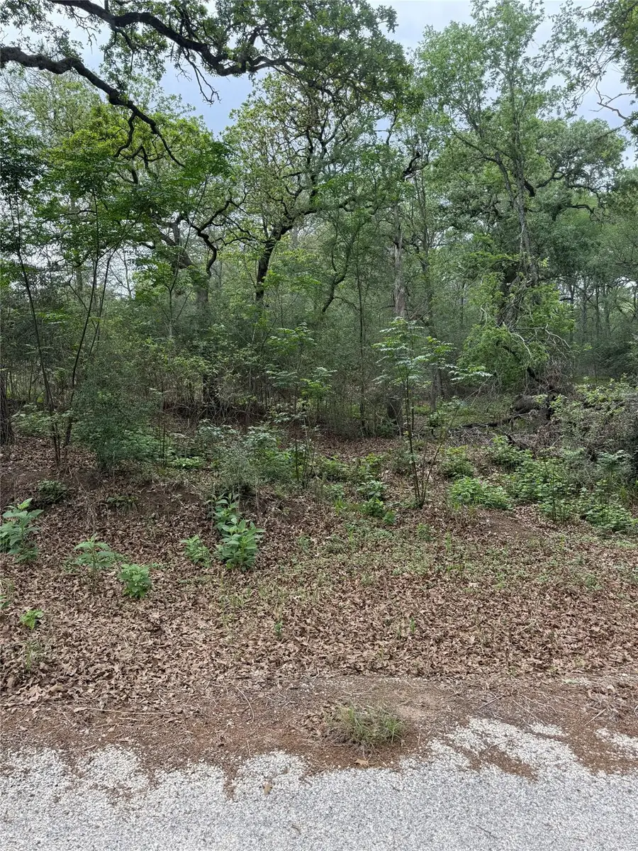 lot 70 Kaelepulu Dr, Bastrop, TX 78602 - #3