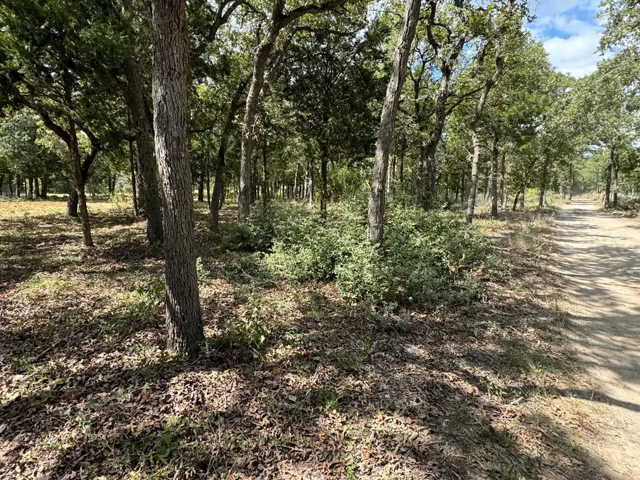 [Lot 2] 000 Jordan Ln, Elgin, TX 78621 - Image #3