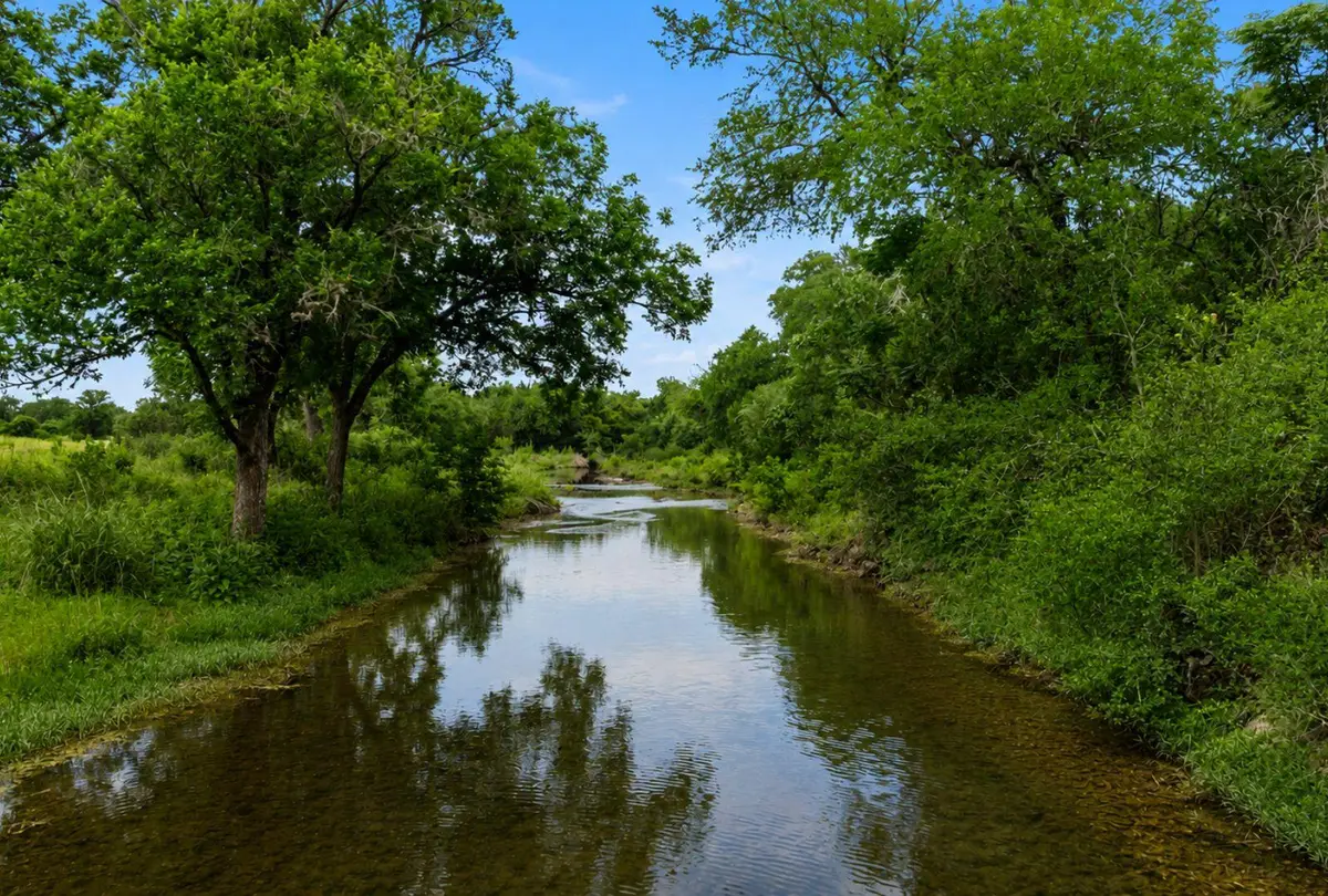 14440 Nutty Brown Rd, Austin, TX 78737 - #1