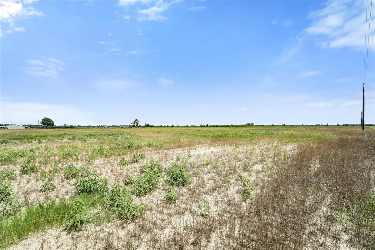 1319 Saddleback Dr, Bellville, TX 77418 - Image #1