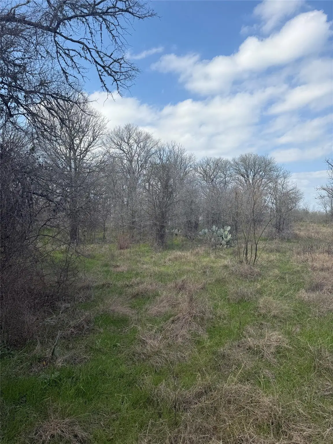 1904 Jasper St, Bastrop, TX 78602 - Image #1