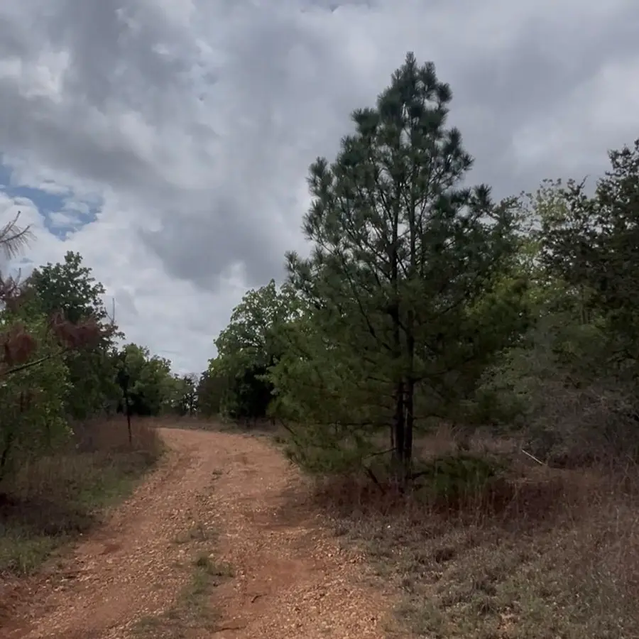 Lot 7 S Old Potato Rd, Paige, TX 78659 - #2