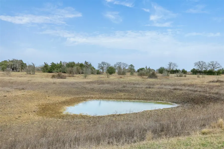 1310 N Nassau Rd, Round Top, TX 78954 - #3