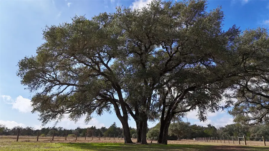 415 County Road 457 Rd, Hallettsville, TX 77964 - Image #3