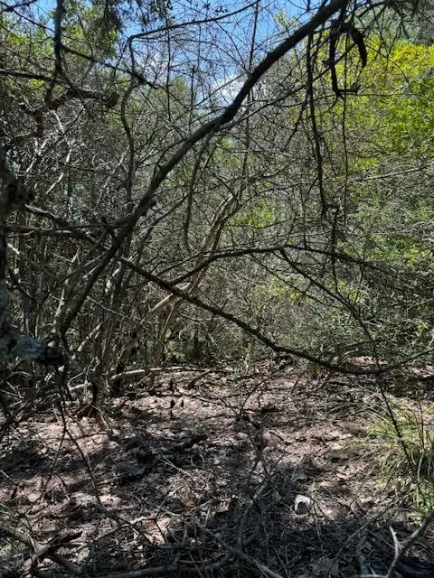 157 Lamaloa Ln, Bastrop, TX 78602 - Image #3