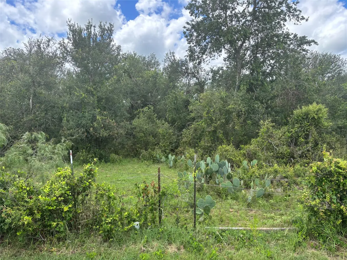 TBD Cr 472, Thrall, TX 76578 - #1