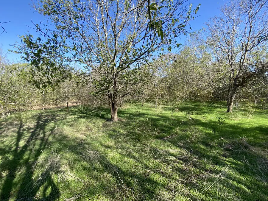 7603 Timber Hills Dr, Del Valle, TX 78617 - #2