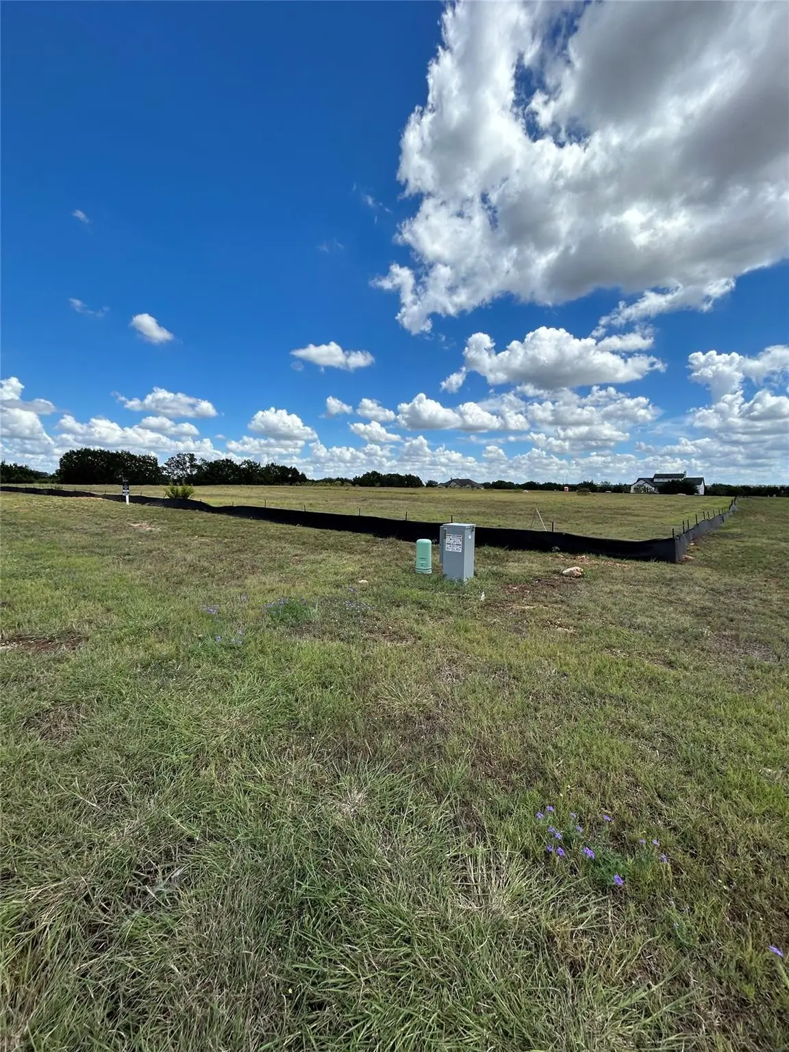 541 Arborland Dr, Georgetown, TX 78633 - Image #1