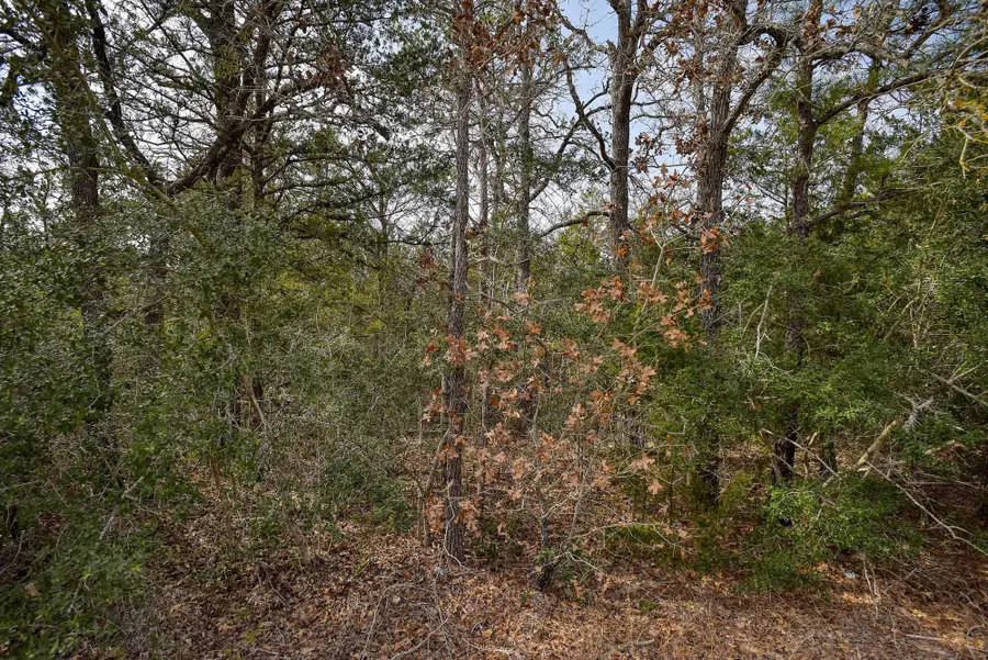 0 Short St, Bastrop, TX 78602 - Image #2