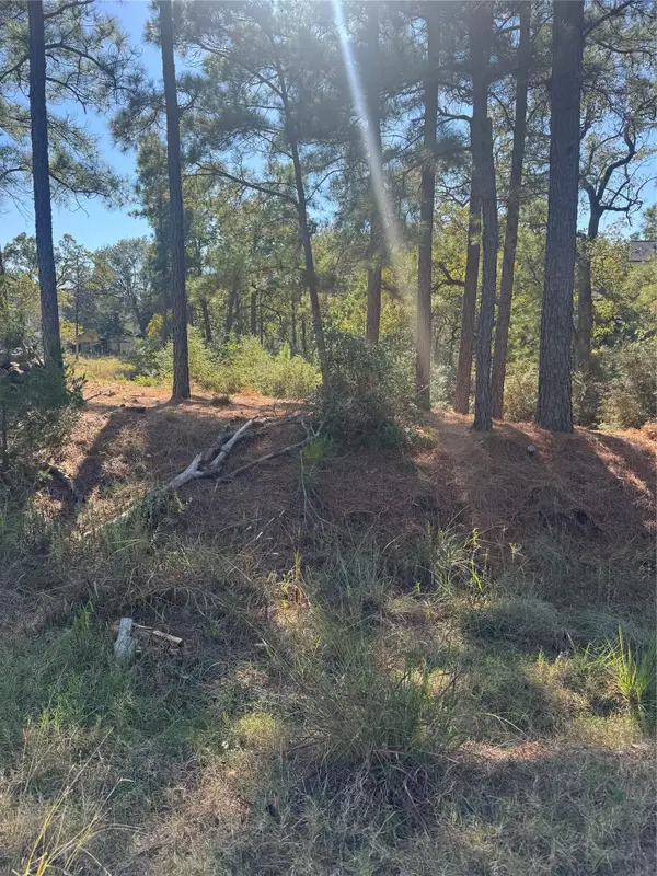 Lot 97 Kaelepulu Dr, Bastrop, TX 78602