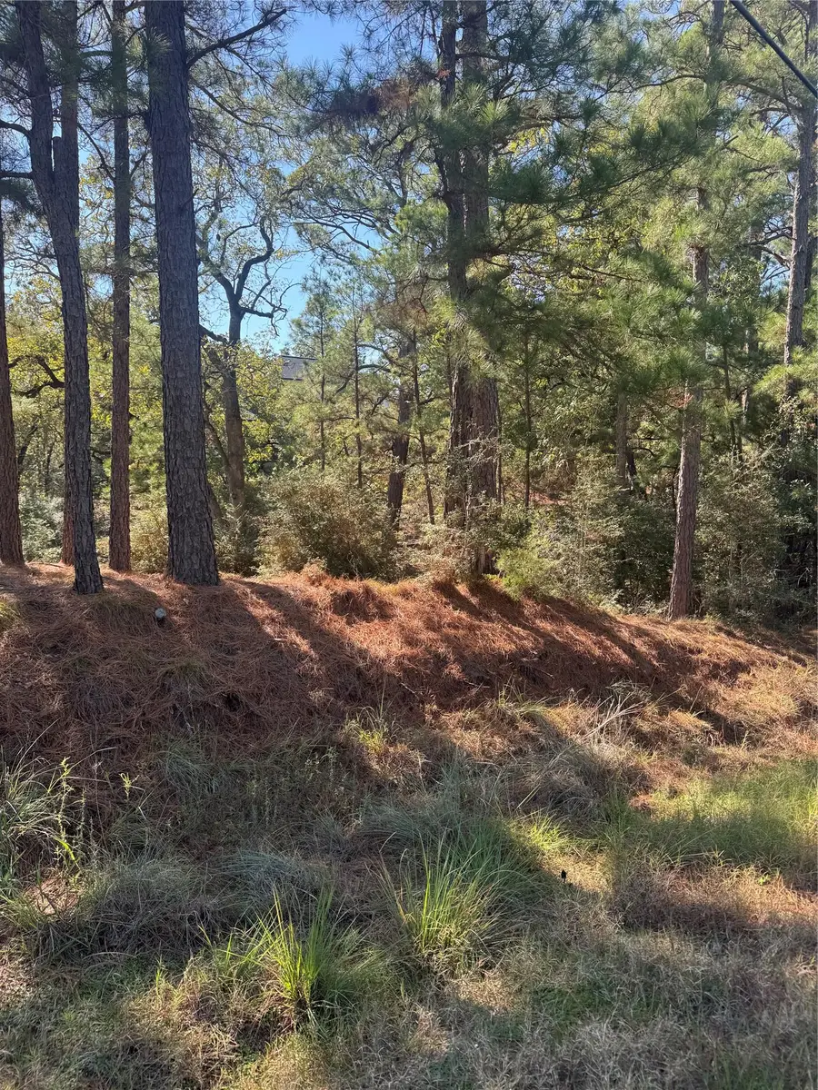 Lot 97 Kaelepulu Dr, Bastrop, TX 78602 - Image #2