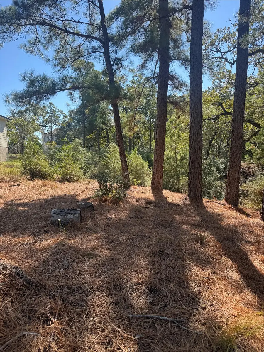 Lot 97 Kaelepulu Dr, Bastrop, TX 78602 - Image #3