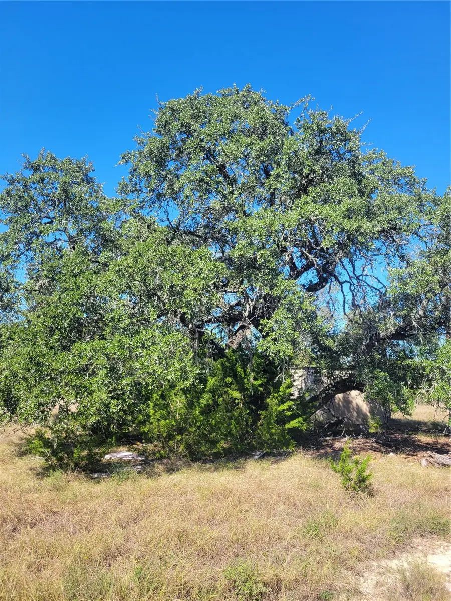 628 Bonita Dr, Blanco, TX 78606 - #3
