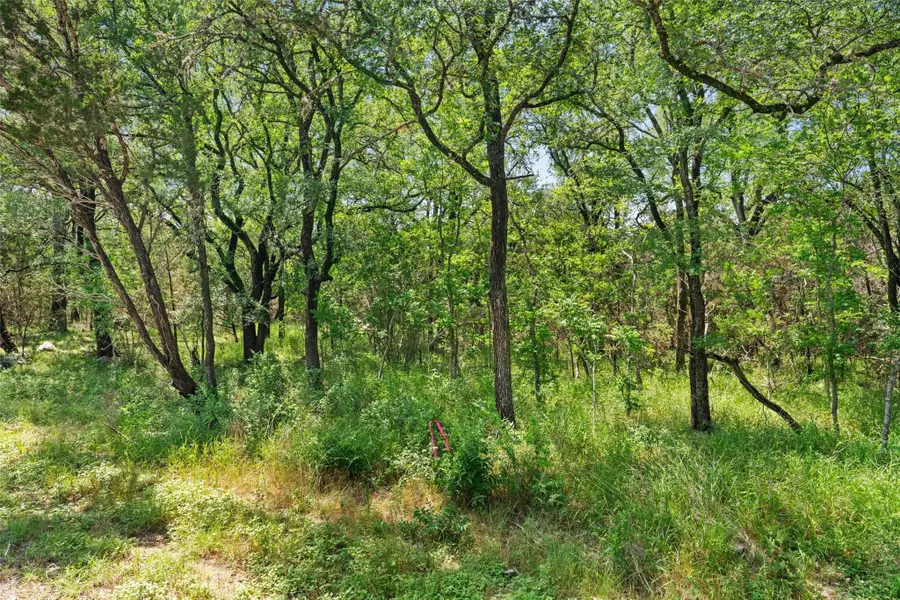 419 Valley View West Rd, San Marcos, TX 78666 - Image #3