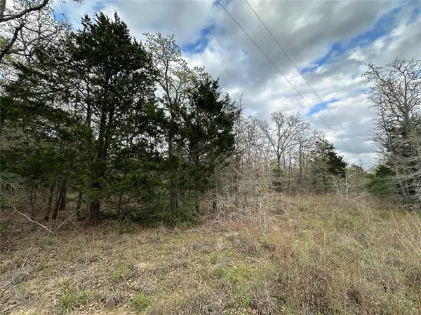 547 S. Old Potato Dr, Paige, TX 78602