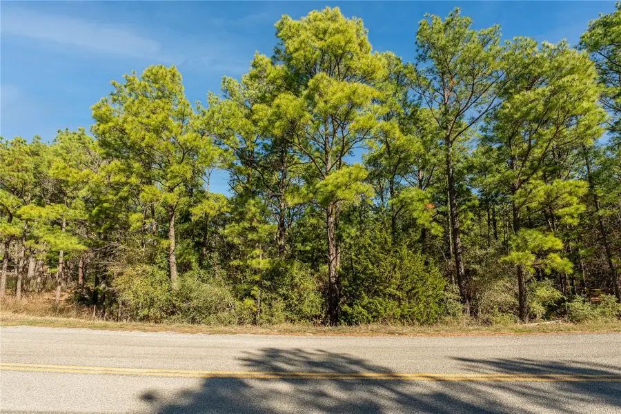 Lot 1161 Kaanapali Ln, Bastrop, TX 78602 - #2