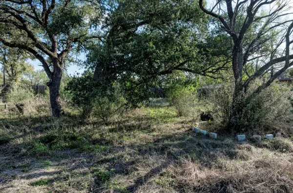 Lot 111 Moss Valley Ln, Granite Shoals, TX 78654