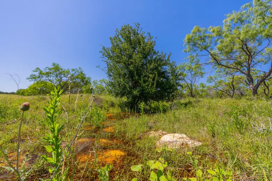 TBD County Road 180 Covered Meadows Ranch Rd, Purmela, TX 76566 - #2
