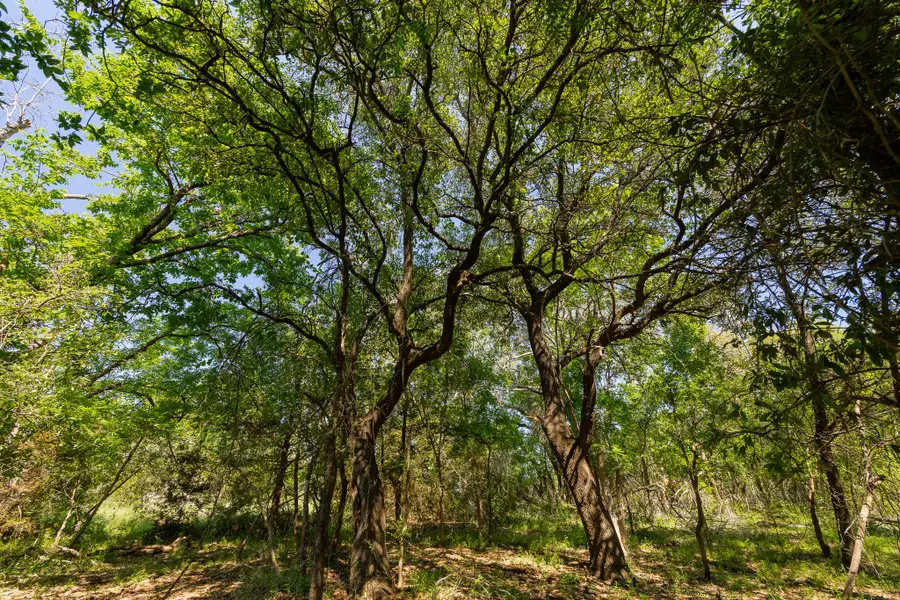 TBD County Road 180 Covered Meadows Ranch Rd, Purmela, TX 76566 - #3