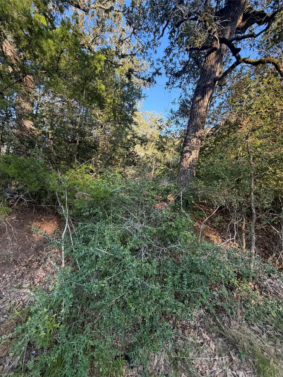 Lot 194 Kaelepulu Dr, Bastrop, TX 78602 - #2