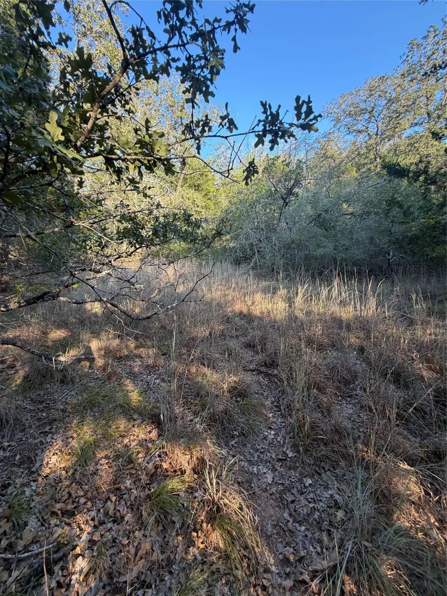 Lot 194 Kaelepulu Dr, Bastrop, TX 78602 - #3