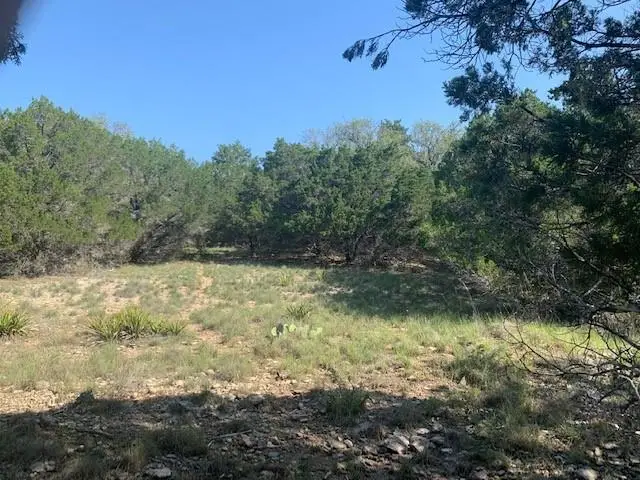 21402 Santa Domingo Ln, Lago Vista, TX 78645 - Image #3