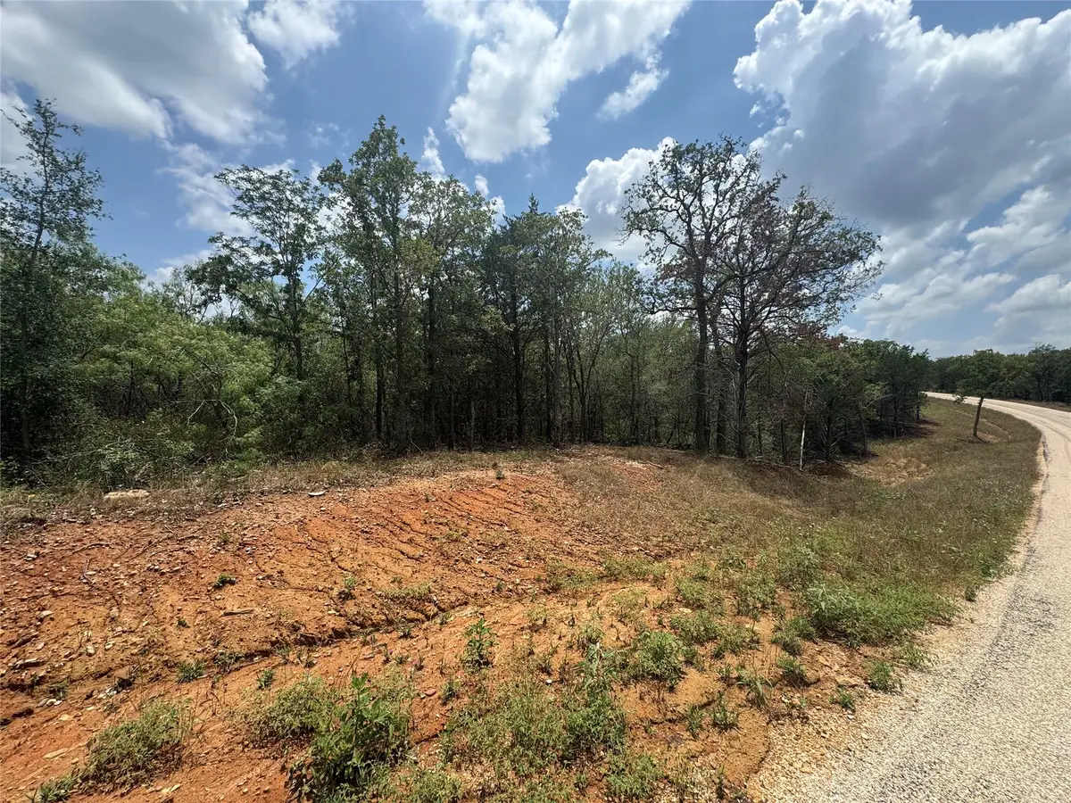 Lot 16 Hailey Ln, Dale, TX 78616 - Image #1