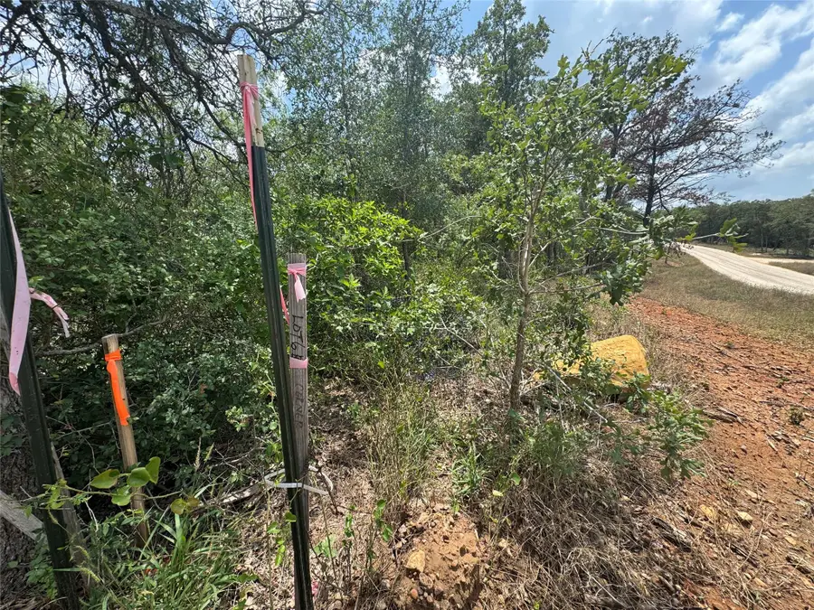 Lot 16 Hailey Ln, Dale, TX 78616 - Image #2