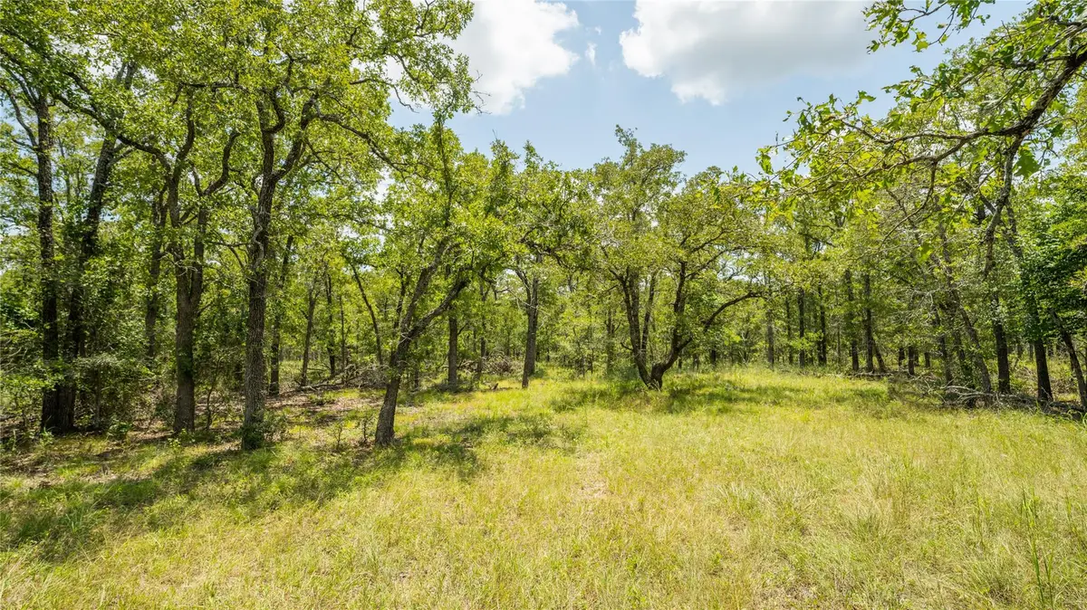 418-G County Road 405, Buckholts, TX 76518 - Image #1
