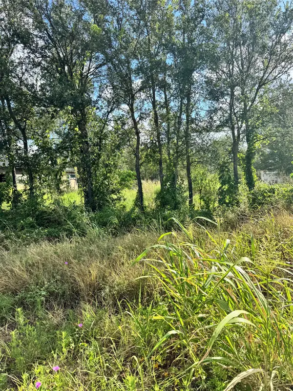 Tbd Union Chapel Rd, Cedar Creek, TX 78612