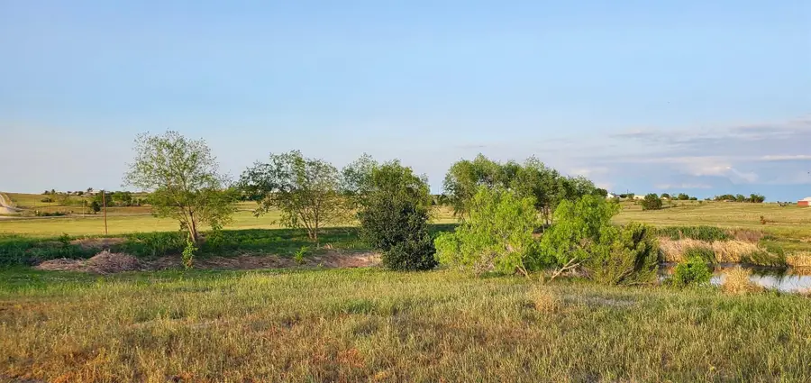 975 County Road 458 (5.87 Acres), Coupland, TX 78615 - Image #3