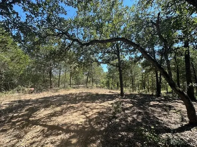 0 TBD lot 103 Ripple Brook Dr, Bastrop, TX 78602 - Image #1